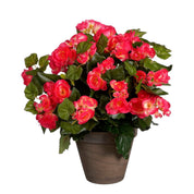 Artificial Begonia Plant in Flower Pot Stan - H37 x Ø36 cm - Dark Pink