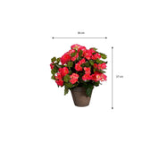 Artificial Begonia Plant in Flower Pot Stan - H37 x Ø36 cm - Dark Pink