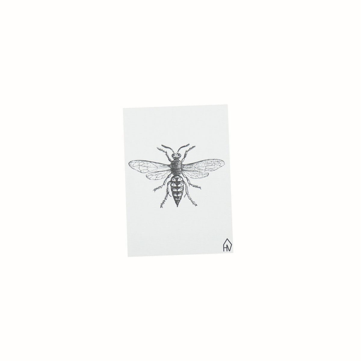 Ansichtskarte - Papier - Bij - Set van 5 - A6