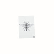 Ansichtskarte - Papier - Bij - Set van 5 - A6