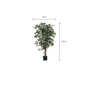Artificial Ficus Plant - H150 x Ø85 cm - Green