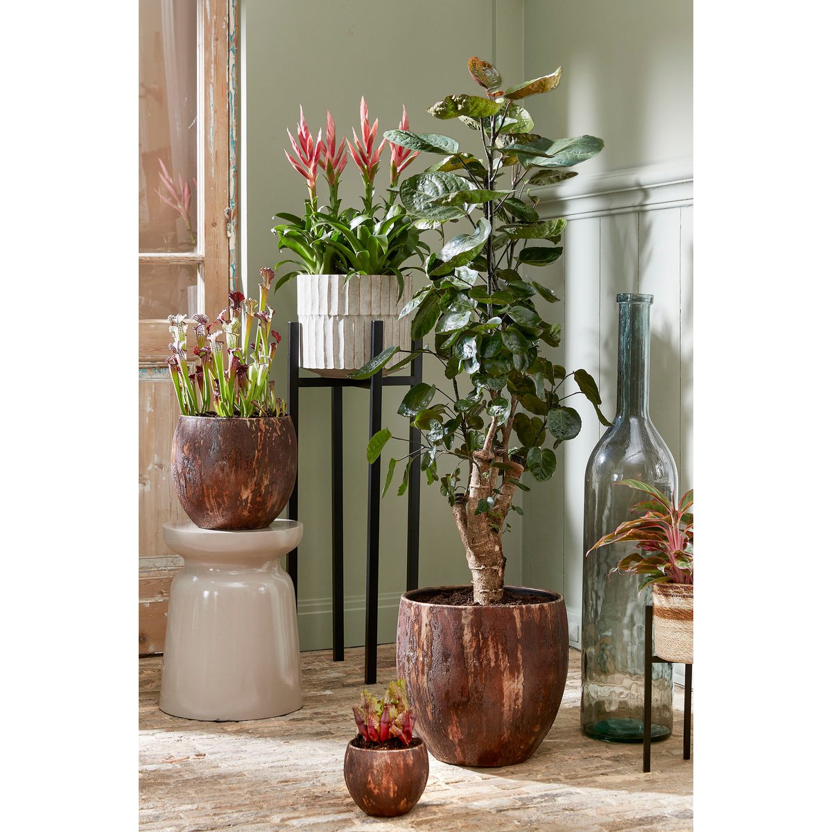 Ascot Plant Stand XL - L38 x W38 x H71 cm - Metal - Black
