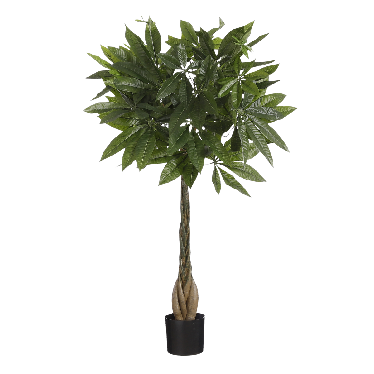 Pachira Kunstplant - H80 x Ø60 cm - Groen