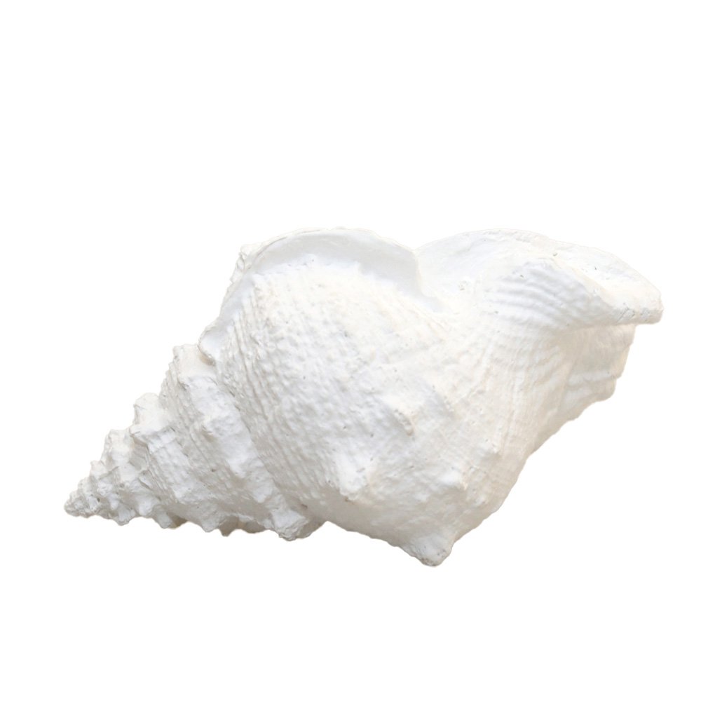 d8f69e31-7989-47d7-8309-82bbdf6f138a_1200x1200_fill.jpg