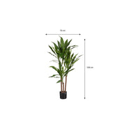 Dracaena Artificial Plant - H100 x Ø70 cm