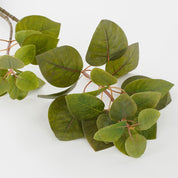 Artificial Eucalyptus Plant - L12 x W28 x H64 cm - Green