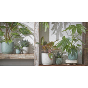 Daan Flowerpot - H18 x Ø19 cm - White