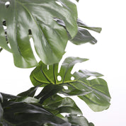 Monstera Artificial Plant - H140 x Ø80 cm - Green