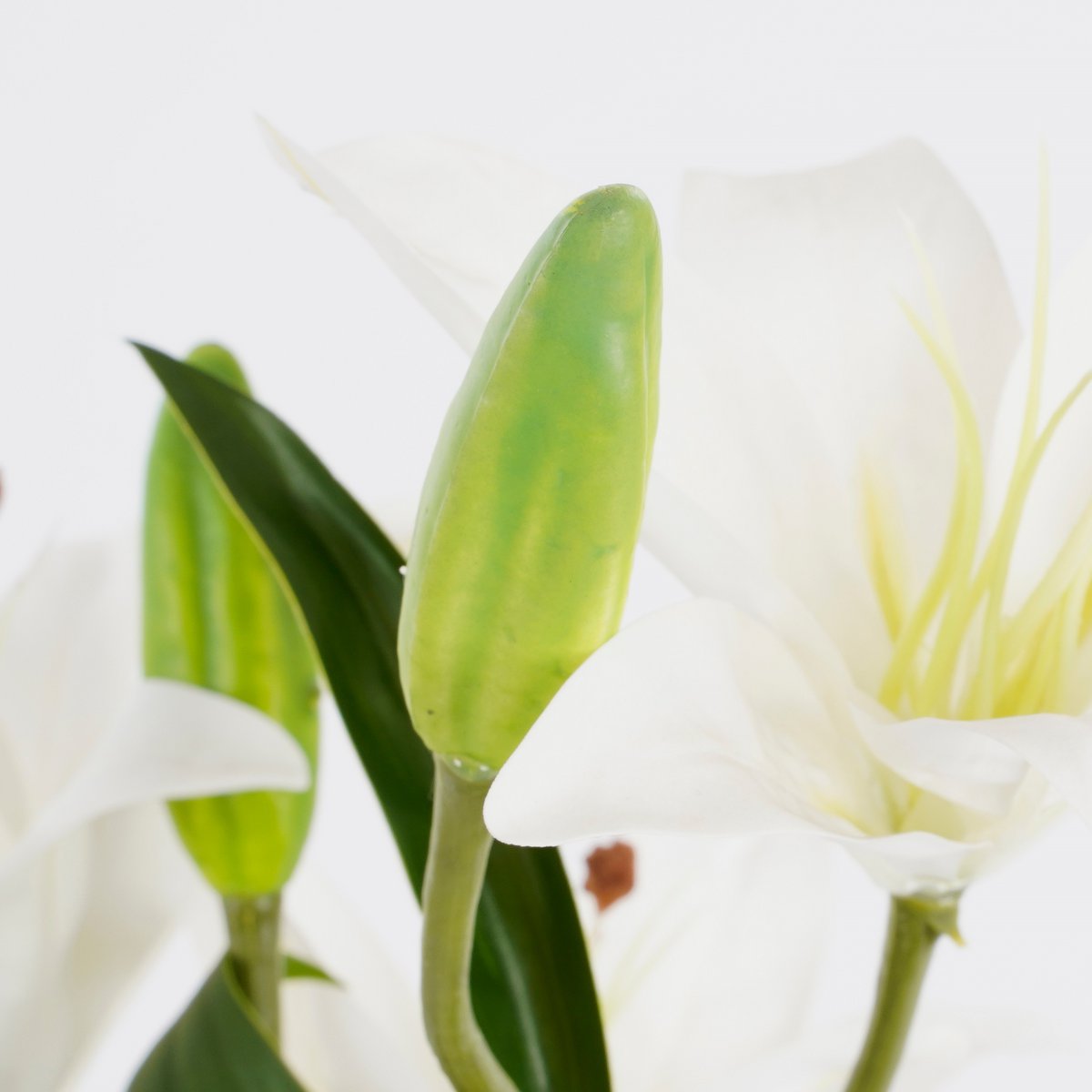 Kunsttijgerlelie in bloempot Stan - Wit