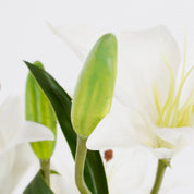 Kunsttijgerlelie in bloempot Stan - Wit