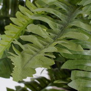 Artificial Boston Fern Plant in Flower Pot Stan - H42 x Ø50 cm - Green