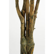 Pachira Artificial Plant - H150 x Ø65 cm - Green