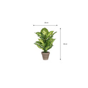 Dieffenbachia Kunstpflanze im Blumentopf Stan - H40 x Ø30 cm - Grün