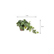 Scindapsus Kunstplant in Bloempot Stan - H44 x Ø17 cm - Groen