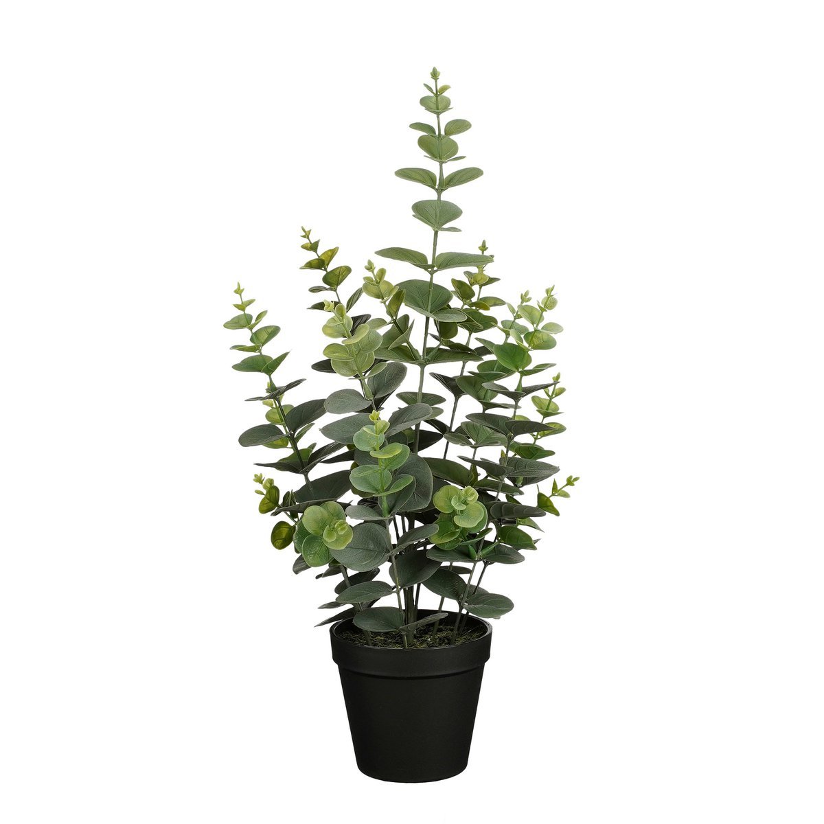 Plante d'eucalyptus artificielle en pot - H53 x Ø23 cm - Vert