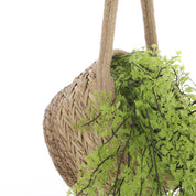 Anne Hanging Flower Pot - Set of 2 - H20 x Ø25 cm - Seagrass - Light brown