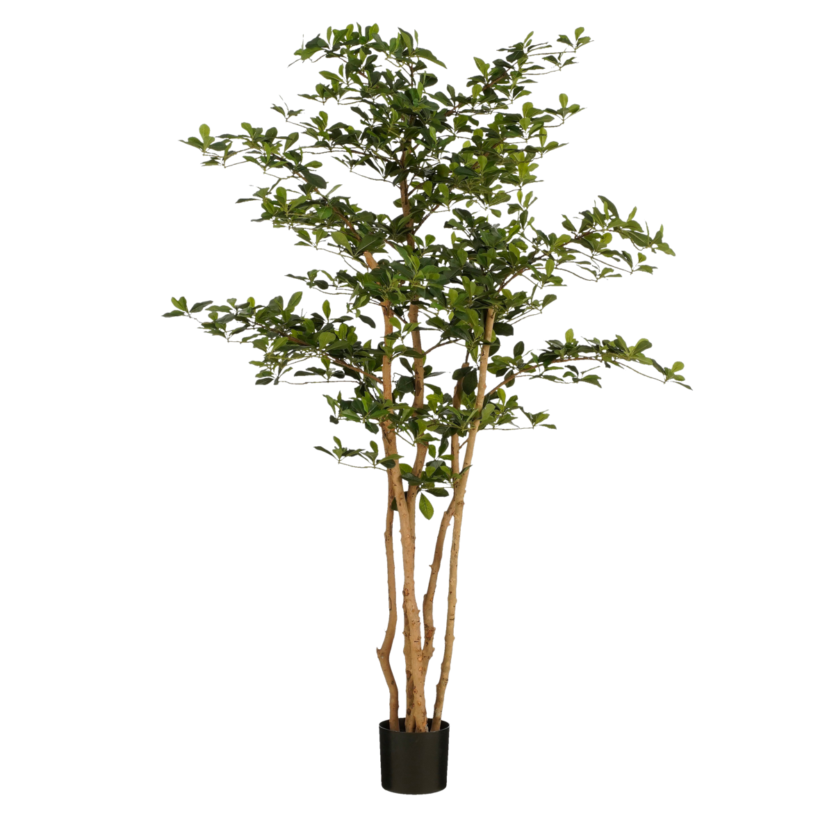 Plante artificielle Olivier en pot - H183 x Ø130 cm - Vert
