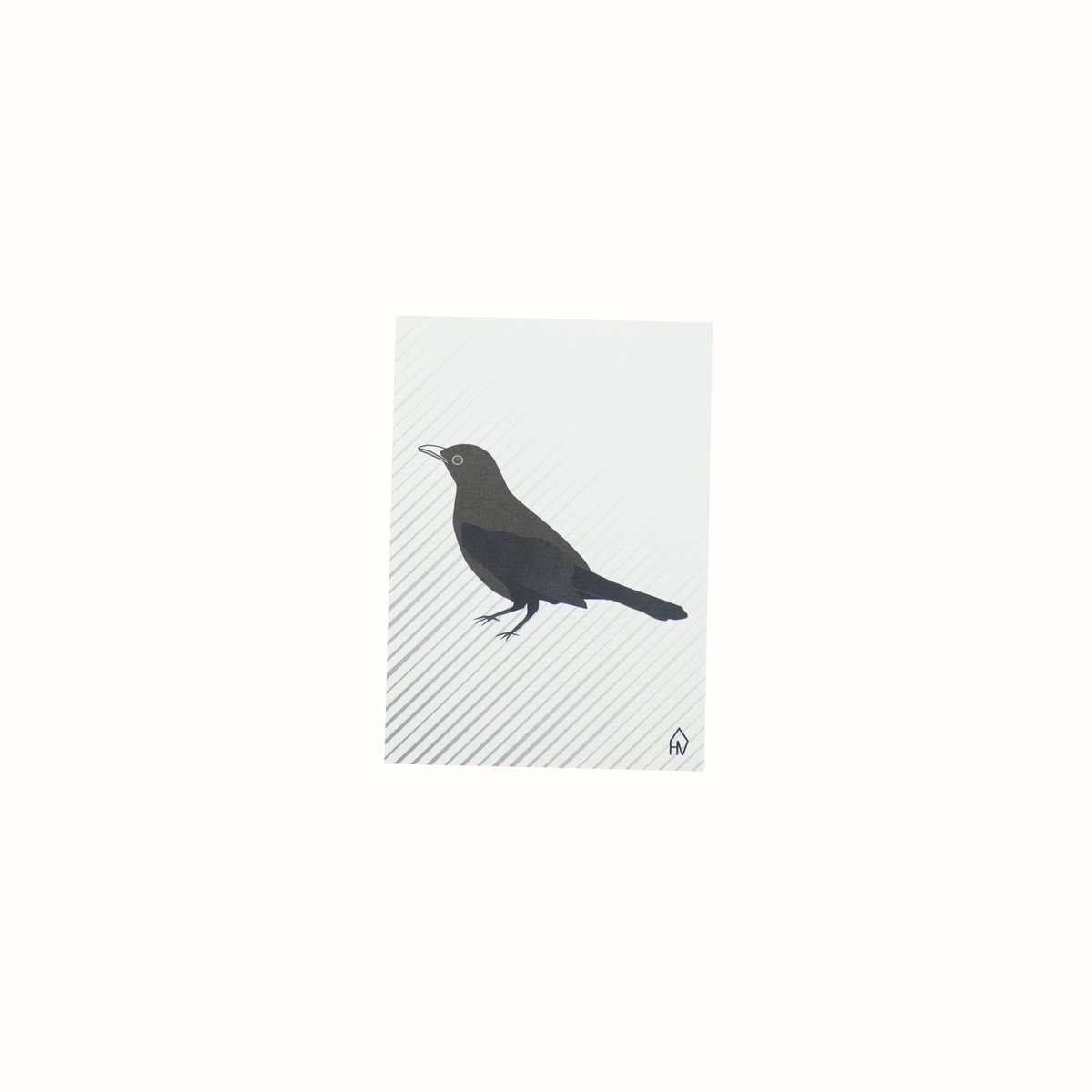 Ansichtkaart - Papier - Zwarte Vogel - Set van 5 - A6