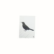 Ansichtkaart - Papier - Zwarte Vogel - Set van 5 - A6