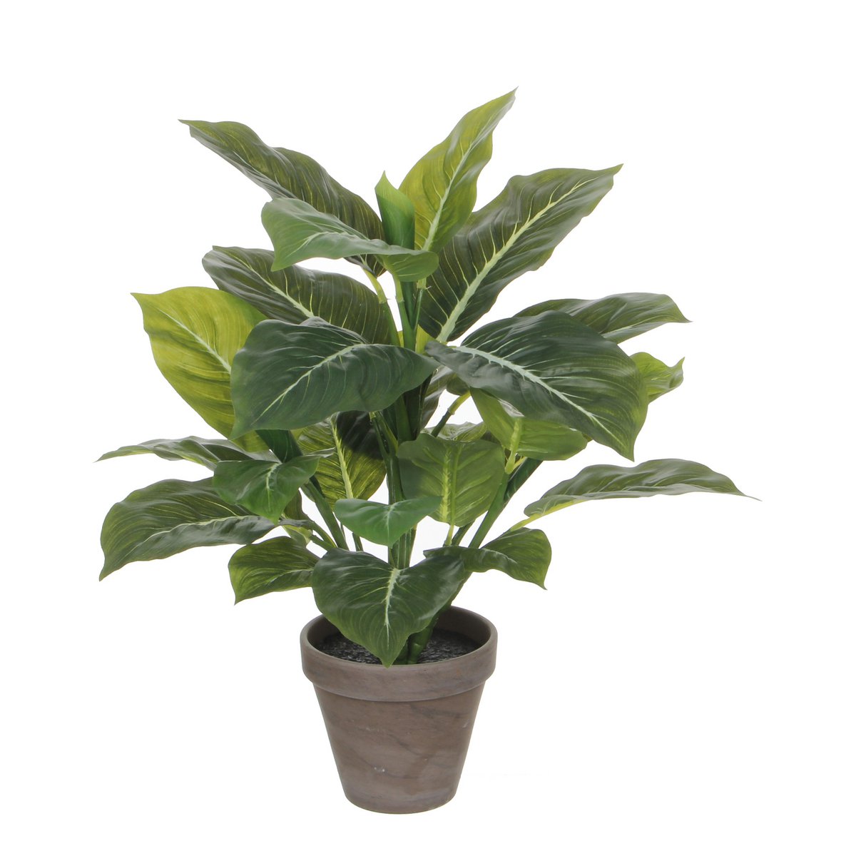 Evergreen Artificial Plant in Flower Pot Stan - H49 x Ø40 cm - Green