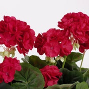 Géranium artificiel en jardinière - L 29 x l 13 x H 40 cm - Rose foncé