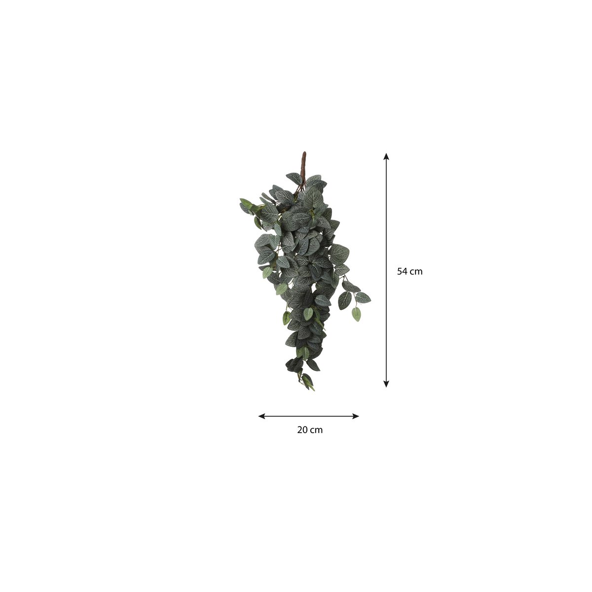 Fittonia Kunsthangplant - L15 x B20 x H54 cm - Groen