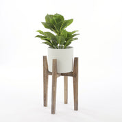 Evergreen Artificial Plant in Flower Pot Stan - H49 x Ø40 cm - Green