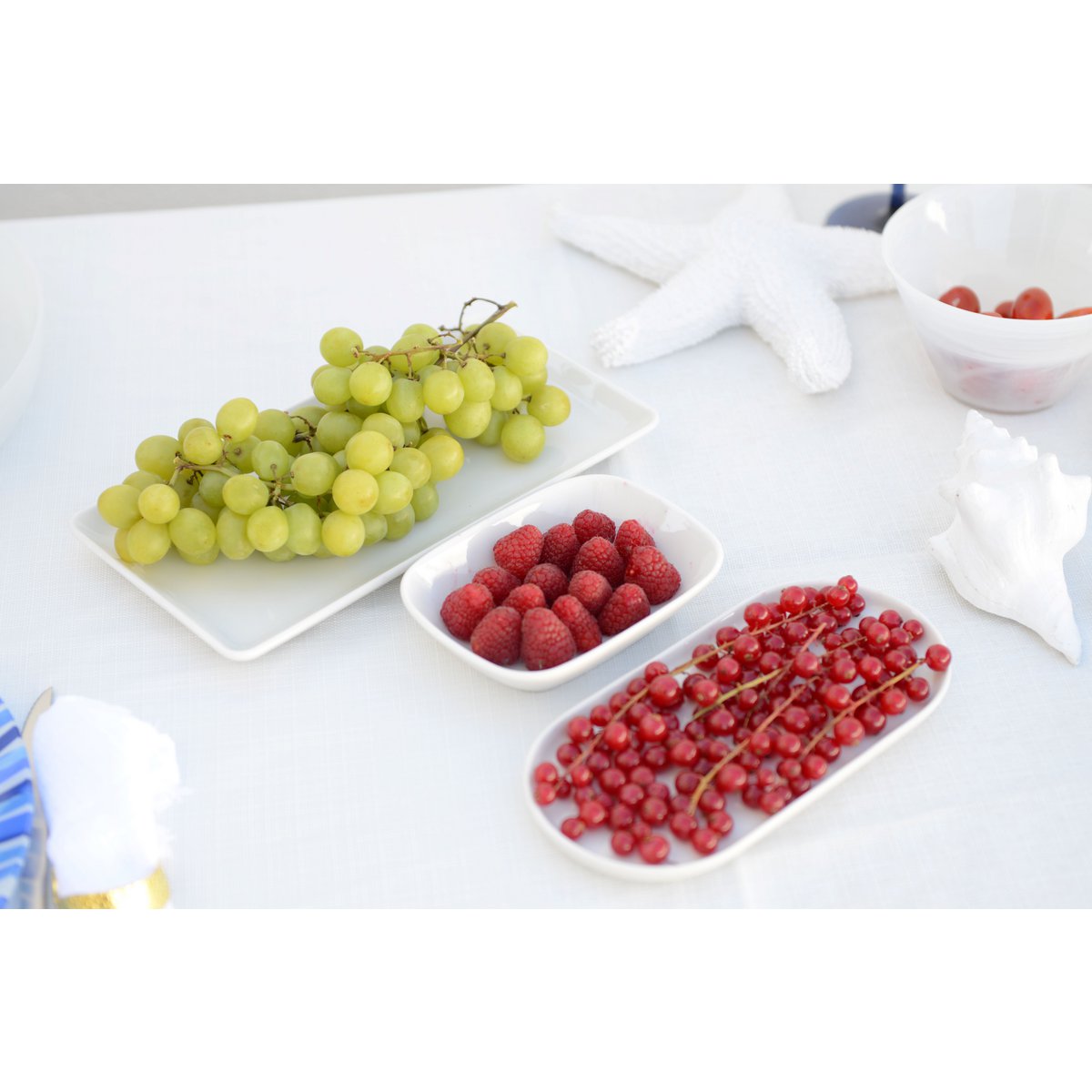 White rectangular porcelain dish 