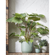 Daan Flowerpot - H18 x Ø19 cm - Green