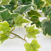 Hedera Artificial Hanging Plant - H86 cm - Green Variegated