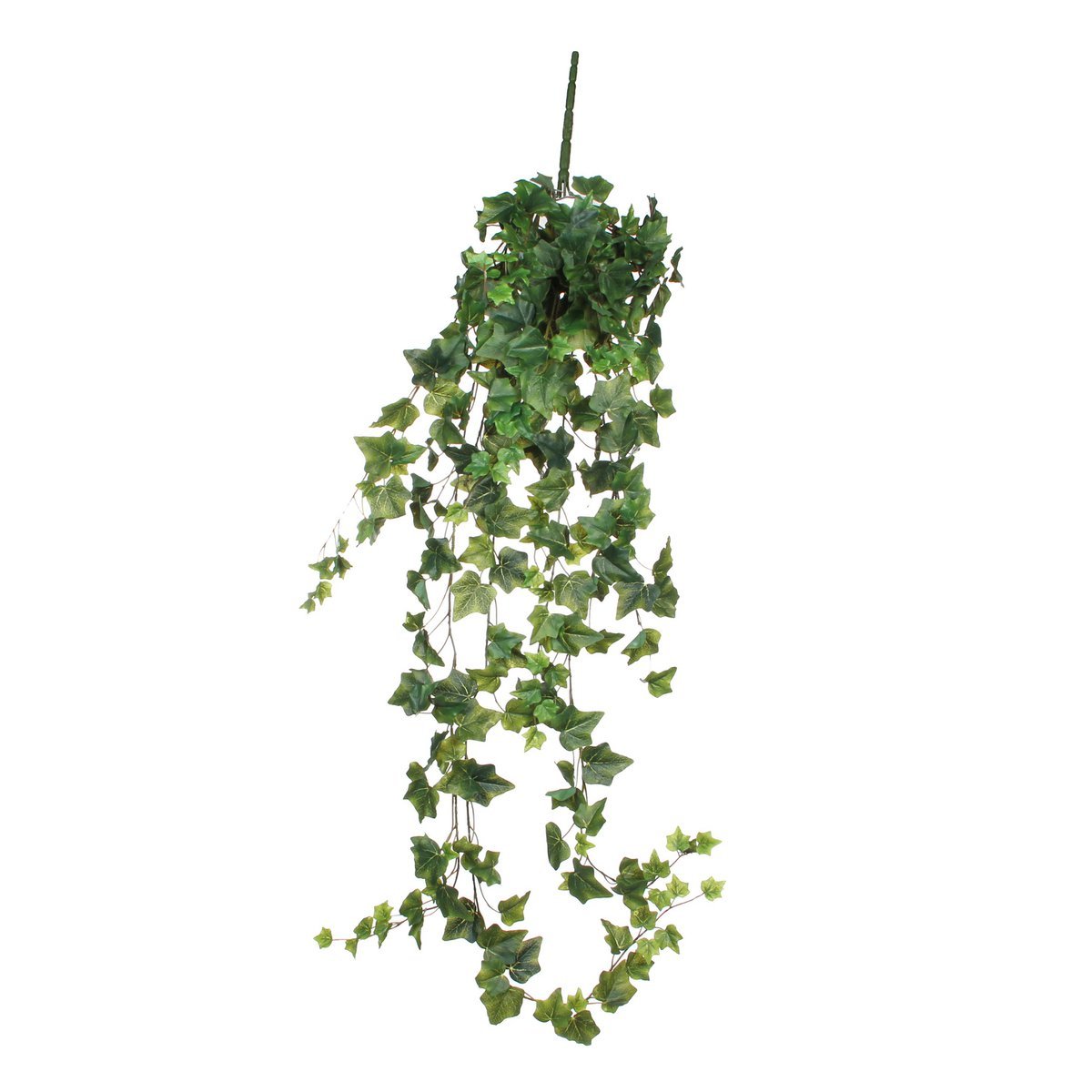 f7e50e2b-ece9-42f3-bf1c-4eb1730fd3fd_1200x1200_fill.jpg