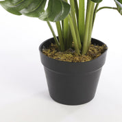 Monstera Artificial Plant - H60 x Ø80 cm - Green