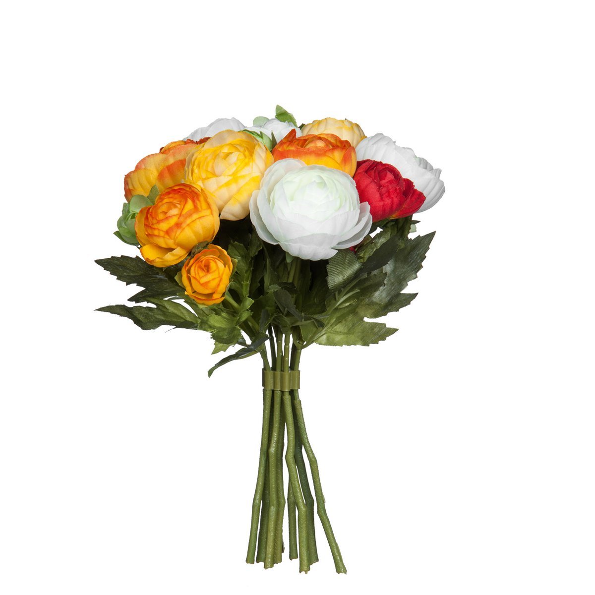 f9784519-eef0-4638-b1be-1377650f22a5_1200x1200_fill.jpg