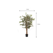 Artificial Ficus Plant - H110 x Ø70 cm - Green Variegated