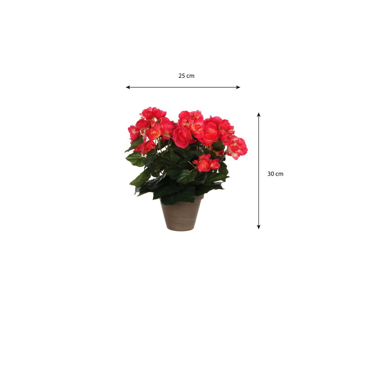 Artificial Begonia Plant in Flower Pot Stan - H30 x Ø25 cm - Dark Pink