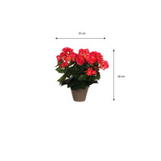 Artificial Begonia Plant in Flower Pot Stan - H30 x Ø25 cm - Dark Pink