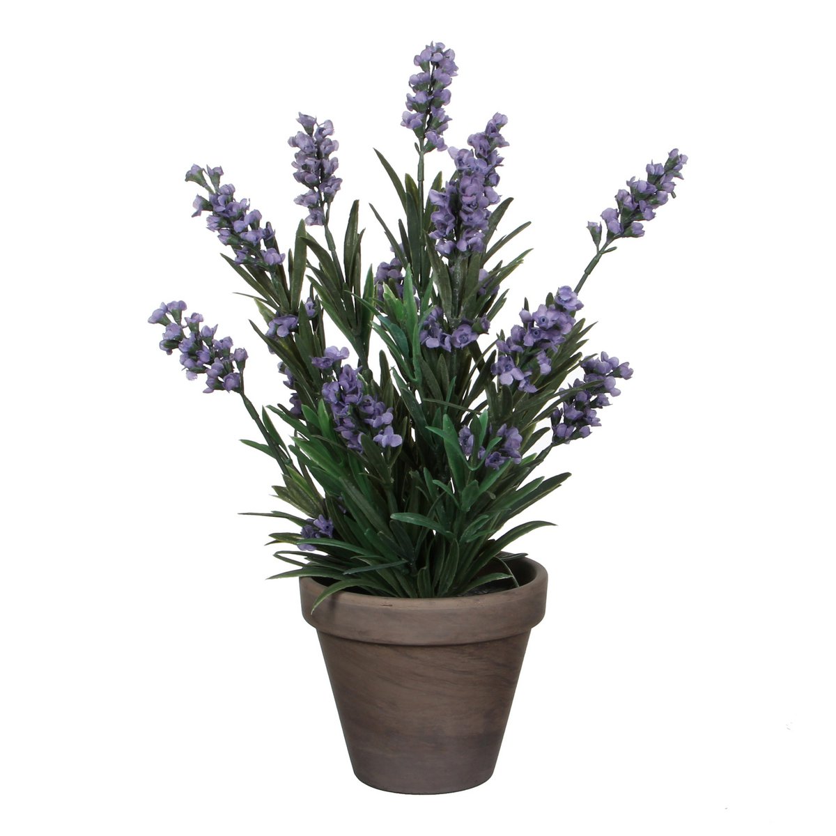 fc3d6a98-c7f0-404c-bbd1-1b17721d0551_1200x1200_fill.jpg