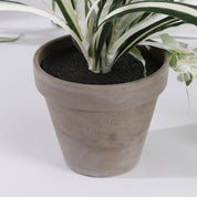 Artificial Chlorophytum Plant in Flower Pot Stan - H45 x Ø45 cm - Green