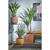 Panier à plantes Avalon - H31 x Ø30 cm - Marron clair